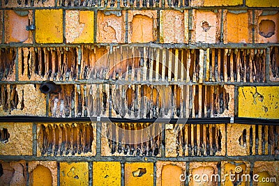 Old textured brick wall of yellow and orange
