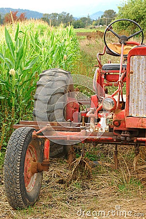 Old Tractor and Corn