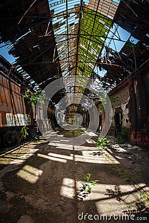 Old trains at abandoned train depot