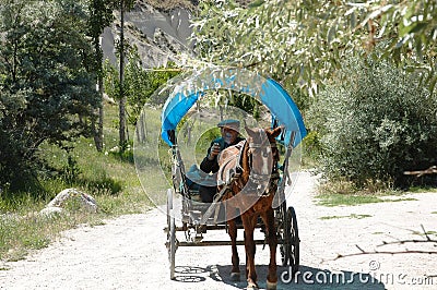 Old Turkish farmer driving horse & buggy