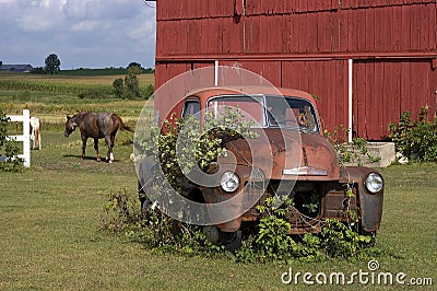 Old Vintage Farm Truck by Barn and Horse