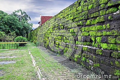 Old wall covered with green moss, Makassar ( Indonesia)