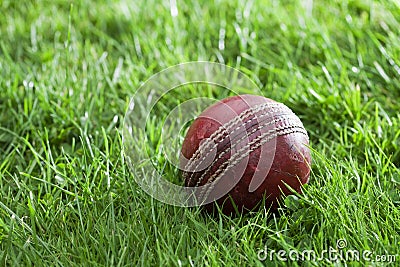 Old well used cricket ball in a grass