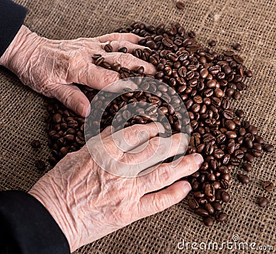 Old woman s hands and coffee beans