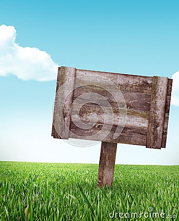 Old wood sign in the meadow