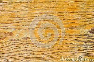 Old wood texture