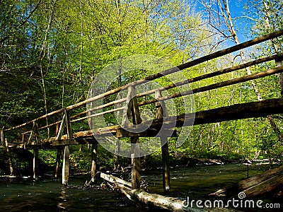 Old wooden bridge in the woods