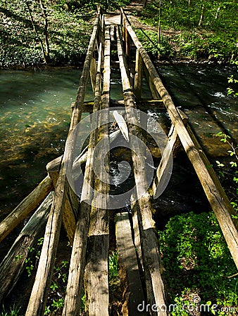 Old wooden bridge in the woods