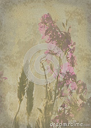 Old and worn flower paper texture background