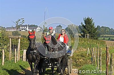 Older couple riding a horse and carriage