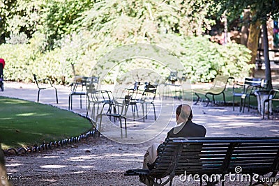 Older gentleman sits on park bench, his back to the camera, facing large blooming shrubbery, Luxembourg Garden, Paris