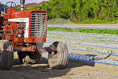 Olf vintage tractor on cultivated land