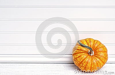 One Mini Pumpkin leaning against White Clapboard Wall