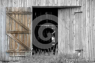 Open Barn Door