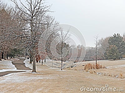 Open Park Space with Path Trail and Bridge in Foggy Distance