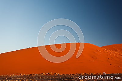 Orange Namibian sand dunes rise softly from desert floor.