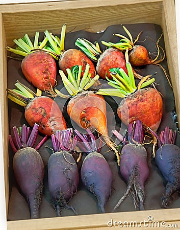 Orange and Purple Beet Vegetables in Wood Box