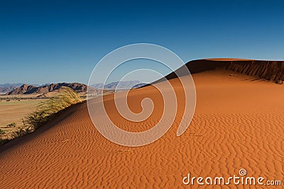 Orange sand dunes in the evening light