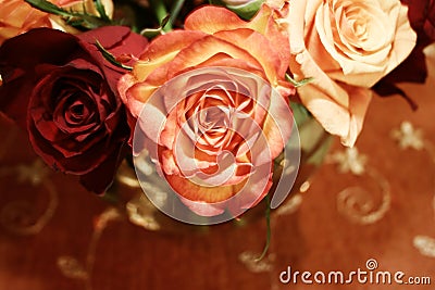 Orange thai roses 021