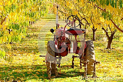 Orchard Tractor