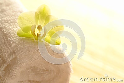 Orchid Flower on Spa Towel in High Key Mood