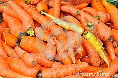 Organic carrots in a market on sale in Italy