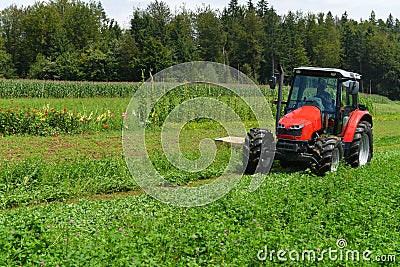 Organic farmer in tractor mowing clover field with rotary cutter