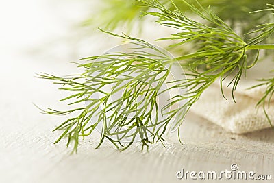 Organic Green Dill Herb