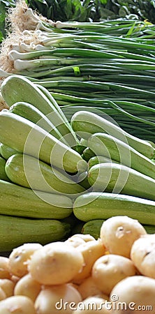 Organic Green Zucchinis and spring onion