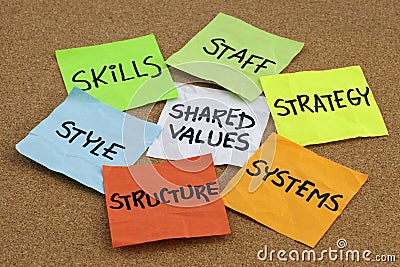 Organizational culture and development