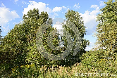 Outside the city - rural landscape