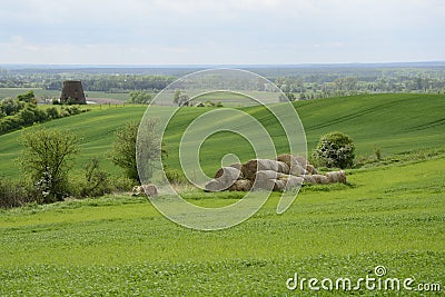 Outside the city - rural landscape - an old windmill on the fiel