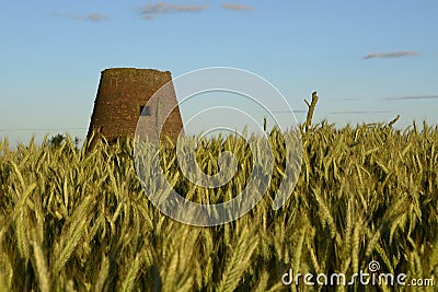 Outside the city - rural landscape - an old windmill on the fiel