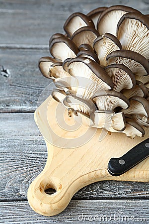 Oyster mushrooms and knife