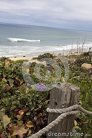 Pacific Ocean Beach at Del Mar, California