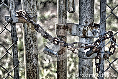 Padlock on a Chain Link Fence Gate