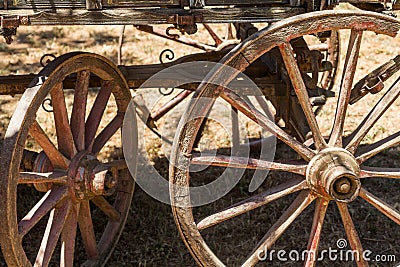 Painting antique wooden cart with big wheels on harvest.