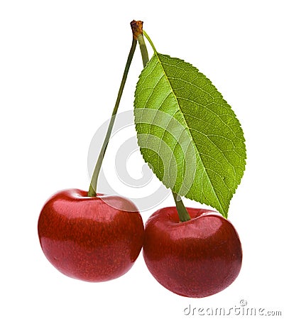 Pair Of Cherries