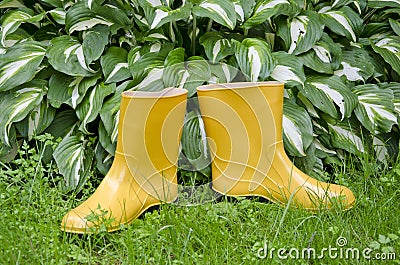 Pair rain rubber yellow boots on garden grass