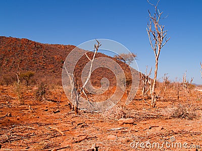 Paisaje africano árido.