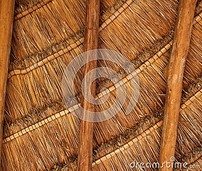 Palapa tropical Mexico wood cabin roof detail