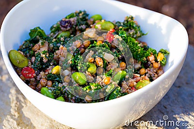 Paleo Diet Quinoa Kale Salad