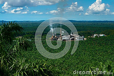 Palm Oil Mill