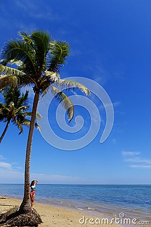 Palm tree on a beach, Vanua Levu island, Fiji