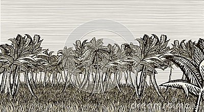Palm tree field