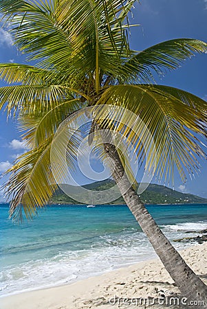  of Jost Van Dyke in the background in the British Virgin Islands BVI