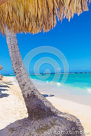 Palm tree with straw umbrella on a beautiful beach