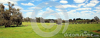 Panorama of Australian Rural Scene