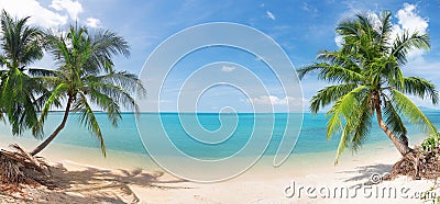 Panoramic tropical beach with coconut palm