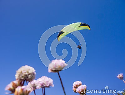 Paraglider in flight to fly over some flowers